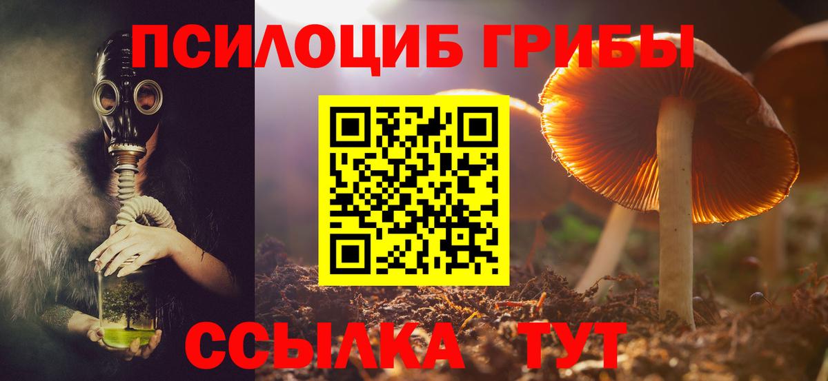 Урус-Мартан  Псилоцибиновые грибы Cubensis  Вход с VPN  Псилоцибиновые грибы ЛСД 